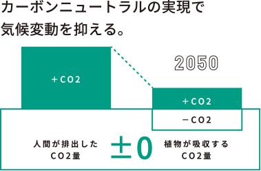 グラフ