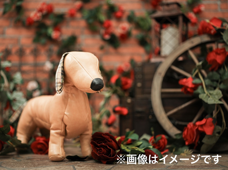 わんちゃんフォトブースRose Gardenで愛犬の可愛い姿を撮影